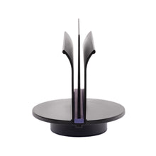 Lade das Bild in den Galerie-Viewer, Braids & Freckles • Ultimate Colorist Tray Set